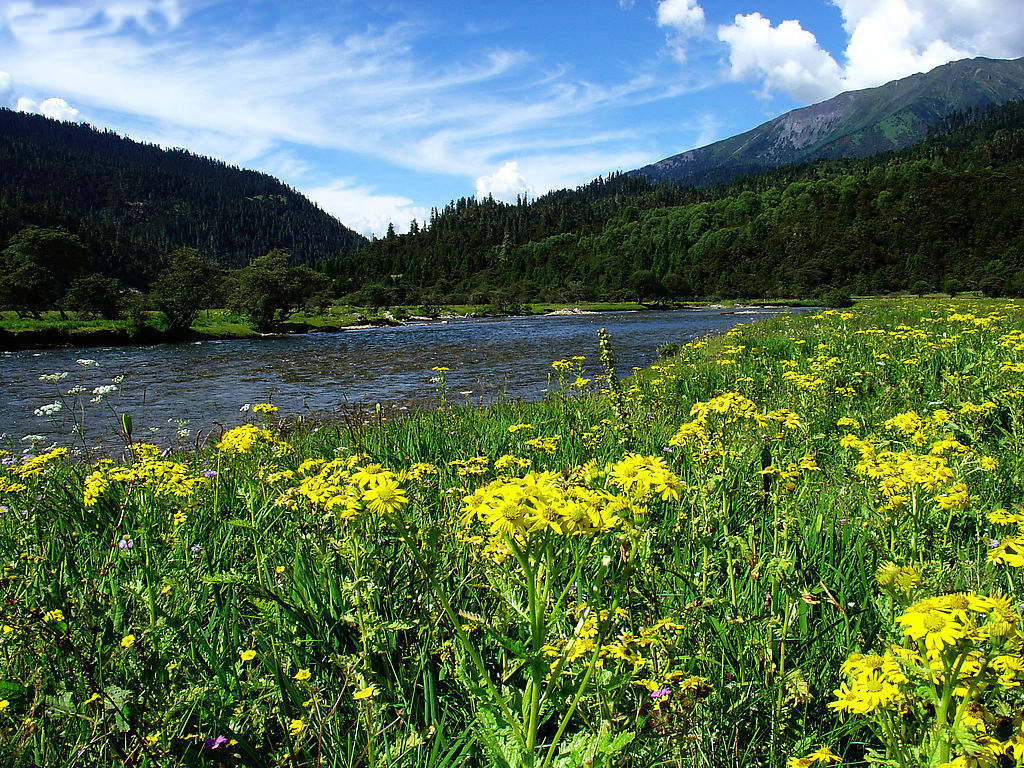 林芝山水