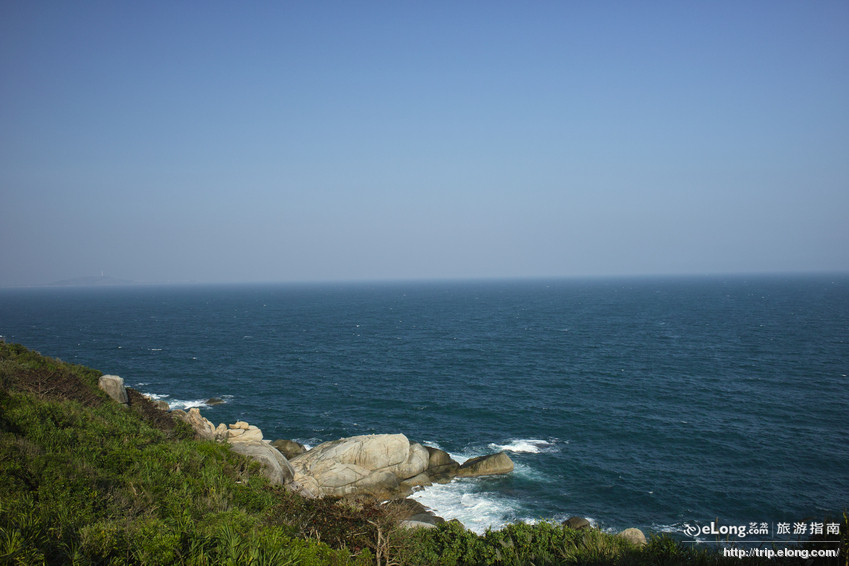 金龜探海